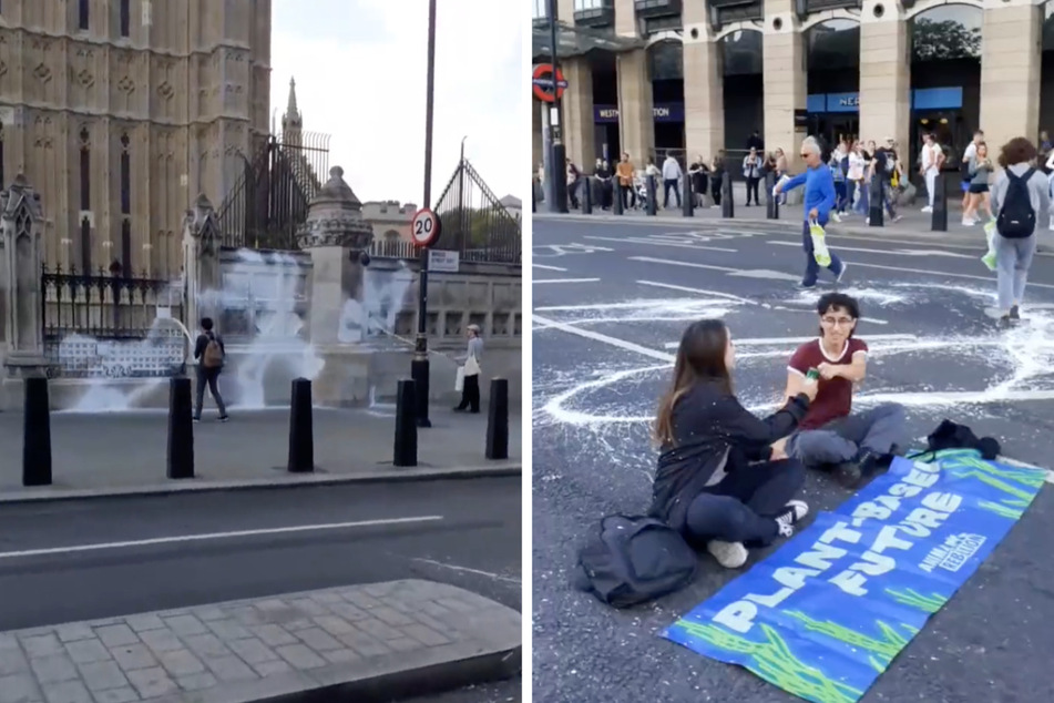 Britisches Parlament mit Farbe besprüht: Aktivisten festgenommen!