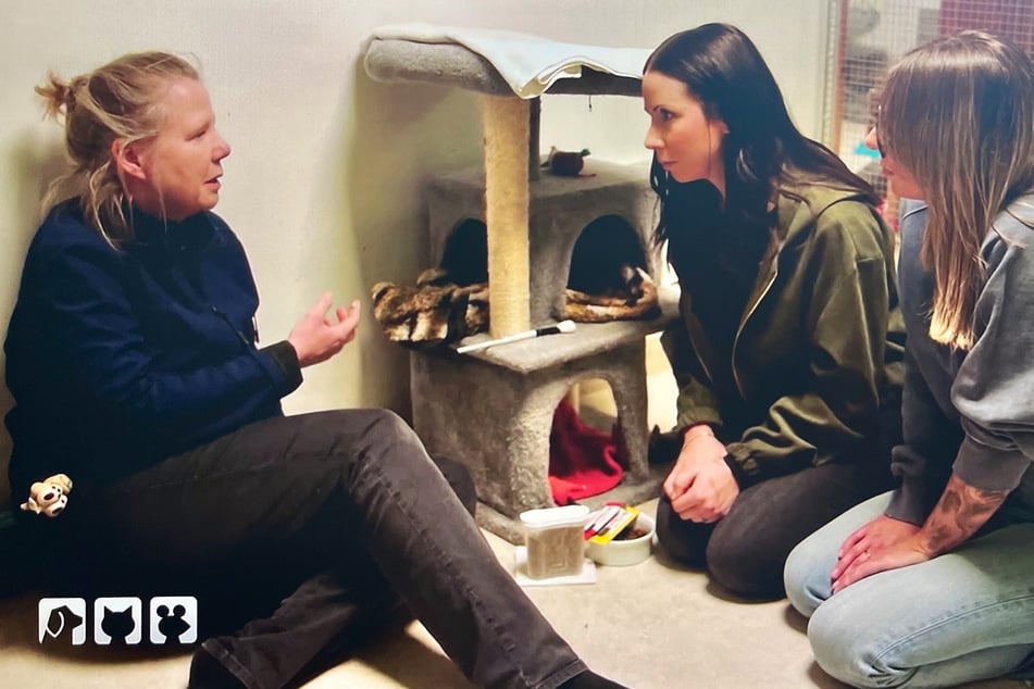 Tierschutzdetektivin Jana Hoger (M.) besucht eine Tierschutzorganisation, die sich aktuell um einige der gesicherten Katzen kümmert.