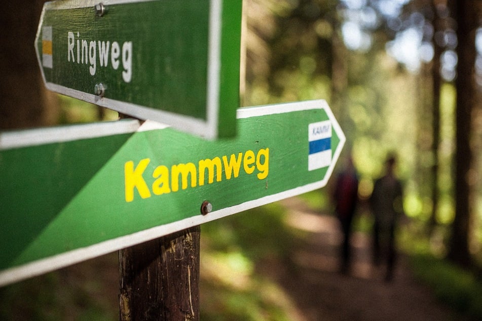 Nicht zu verfehlen: Der Kammweg ist mit einem blauen Querstrich und dem Schriftzug "KAMM" gekennzeichnet.