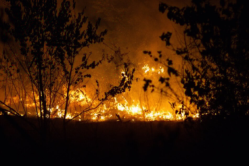 Drei Viertel des Naturschutzgebietes der Gohrischheide sind weggebrannt, ein paar Flammen lodern immer noch.