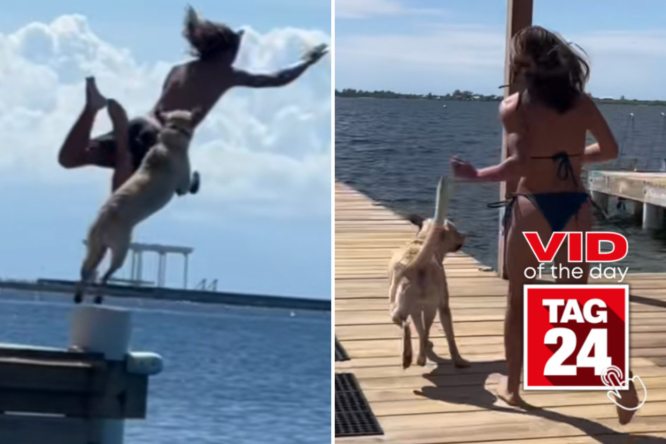 viral videos: Viral Video of the Day for March 29, 2023: Doggy diving!