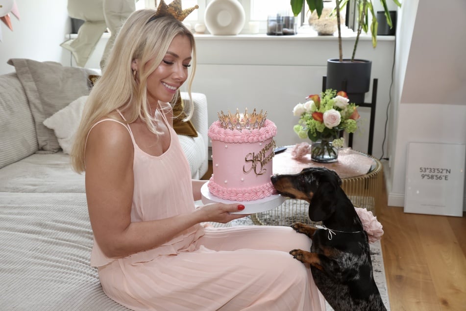 Der heimliche Star des Abends: Janikas Dachsi. Der Dackel machte sich sehr gerne über die extra angefertigte "Shopping Queen"-Torte her.