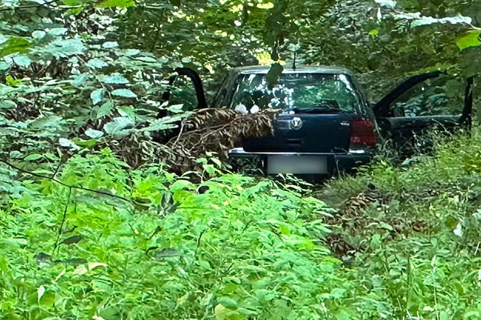 Nach Einbruch in Einkaufszentrum: Spaziergänger entdeckt verdächtiges Auto im Wald