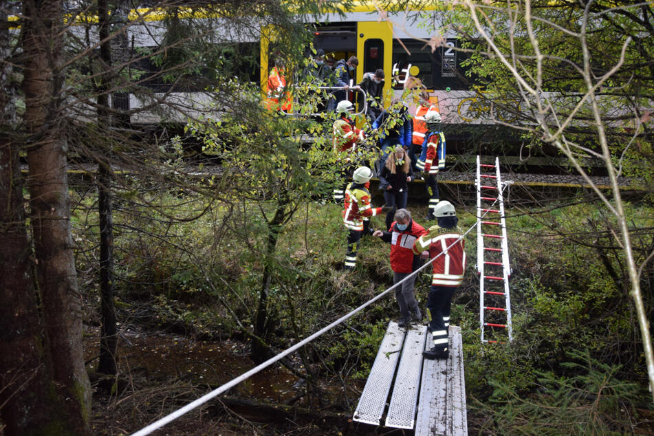 Firefighters evacuated a train after a tree fell on the track.