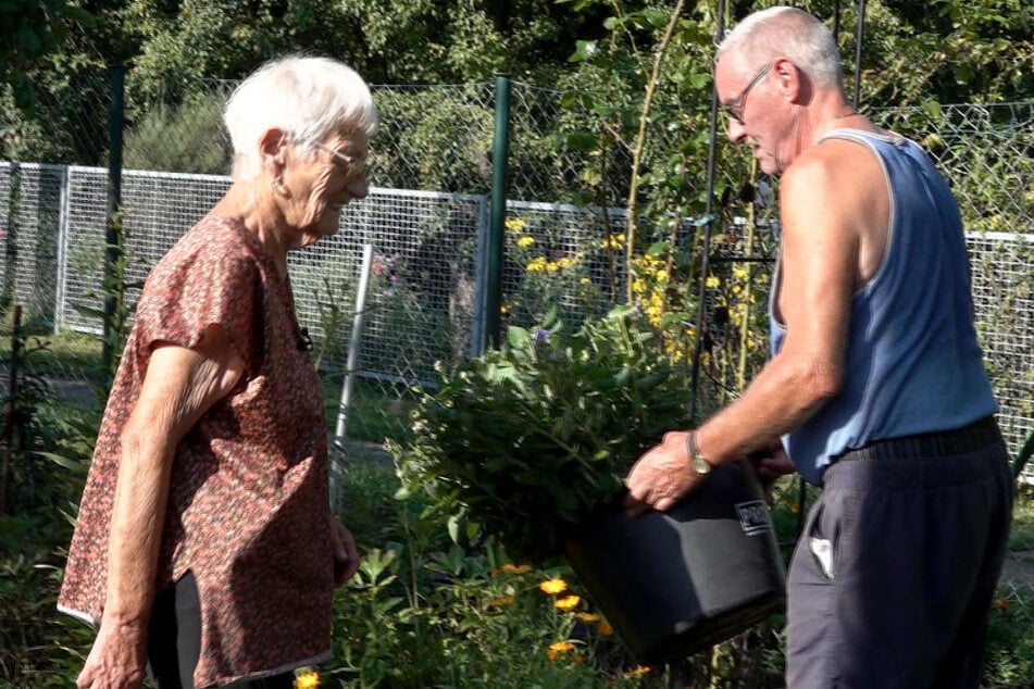 "Von Hecke zu Hecke": Rentnerin Ingrid wird reich beschenkt - doch es gibt ein Problem
