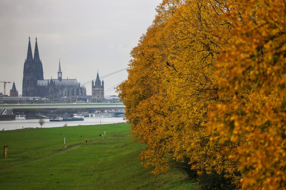 Der Herbst in Köln und NRW zeigt sich diese Woche von seiner grauen Seite.