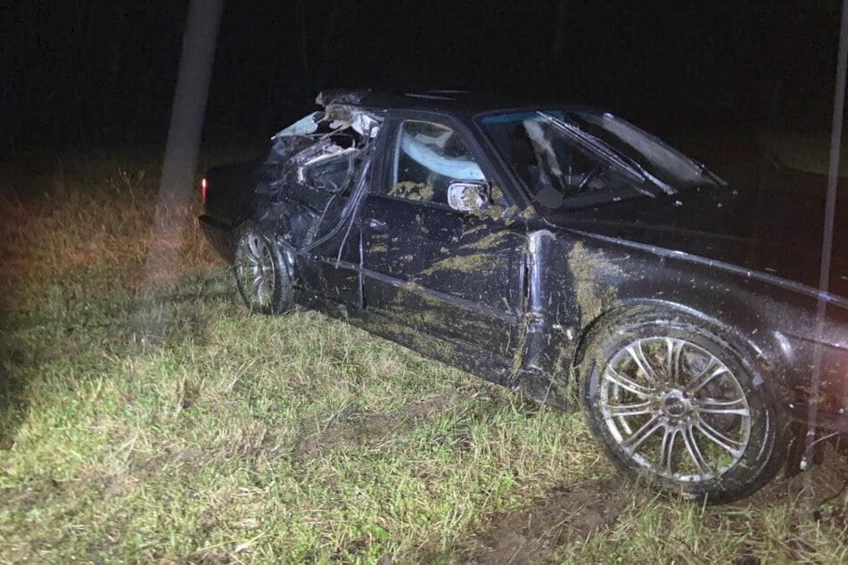 Der BMW kollidierte mit der Kuh. Sofort habe dies zum Tod des Tieres geführt, hieß es.