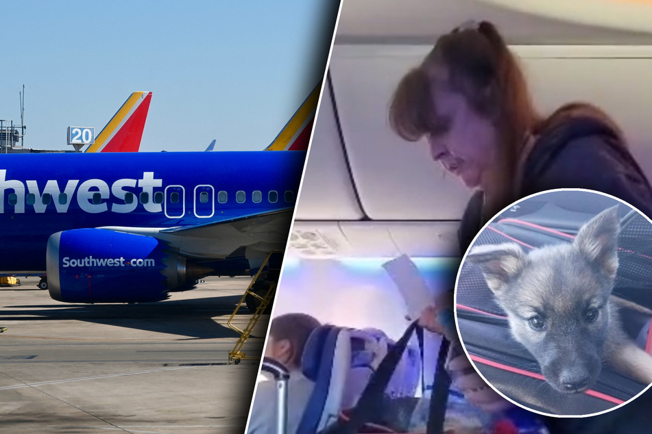 TikTok outraged after Southwest passengers booted from flight in puppy petting incident!