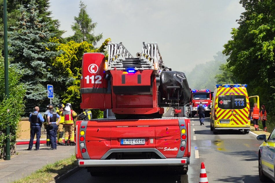 Leipzig: Brand an beliebtem Badesee: Rauchwolke zieht durch Wohngebiet