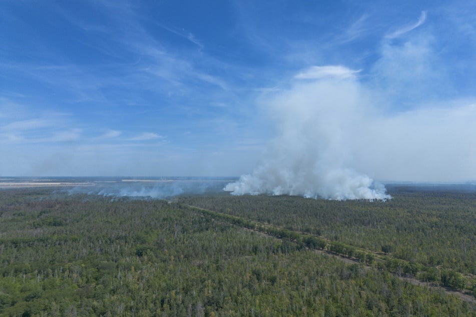 Im Juli vergangenen Jahres brannte die Gohrischheide in Sachsen.