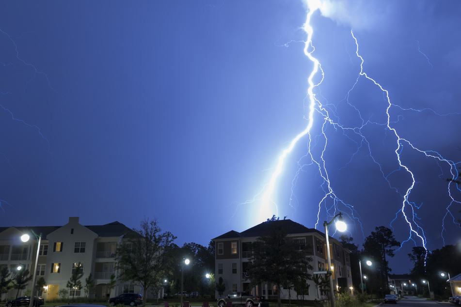 Lightning strike kills woman and her dogs in "one-in-a-million chance"