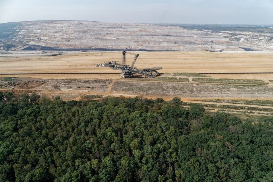 Der Hambacher Forst bleibt sich selbst überlassen und darf zu einem Urwald heranwachsen. (Archivfoto)