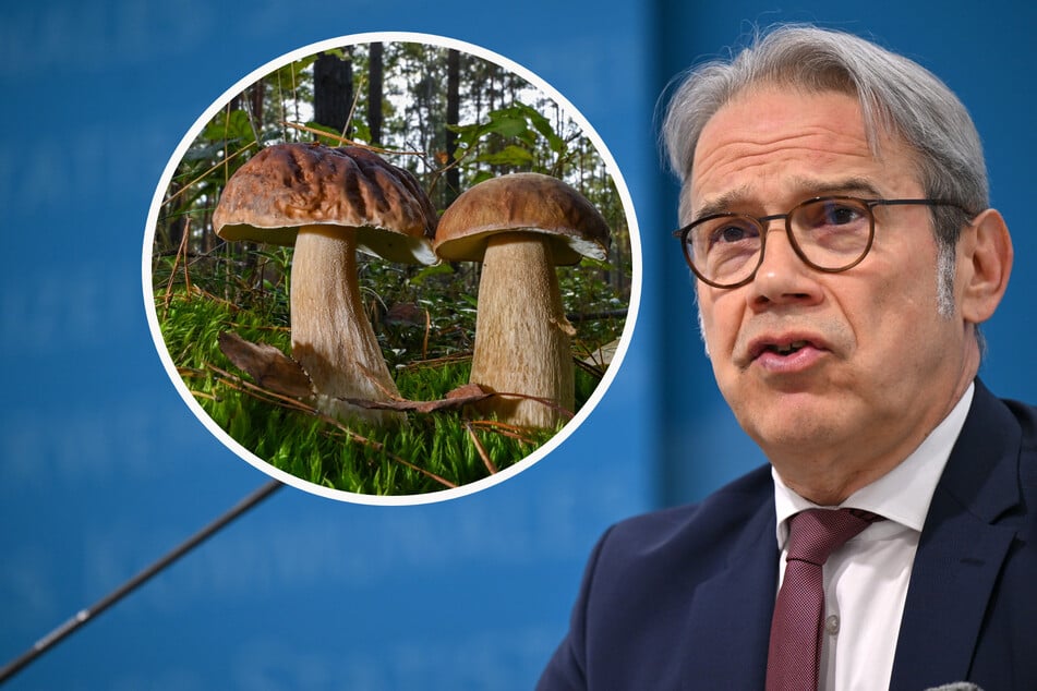 Thüringens Innenminister Maier vergleicht rechtsextreme Strukturen mit Pilzen im Wald