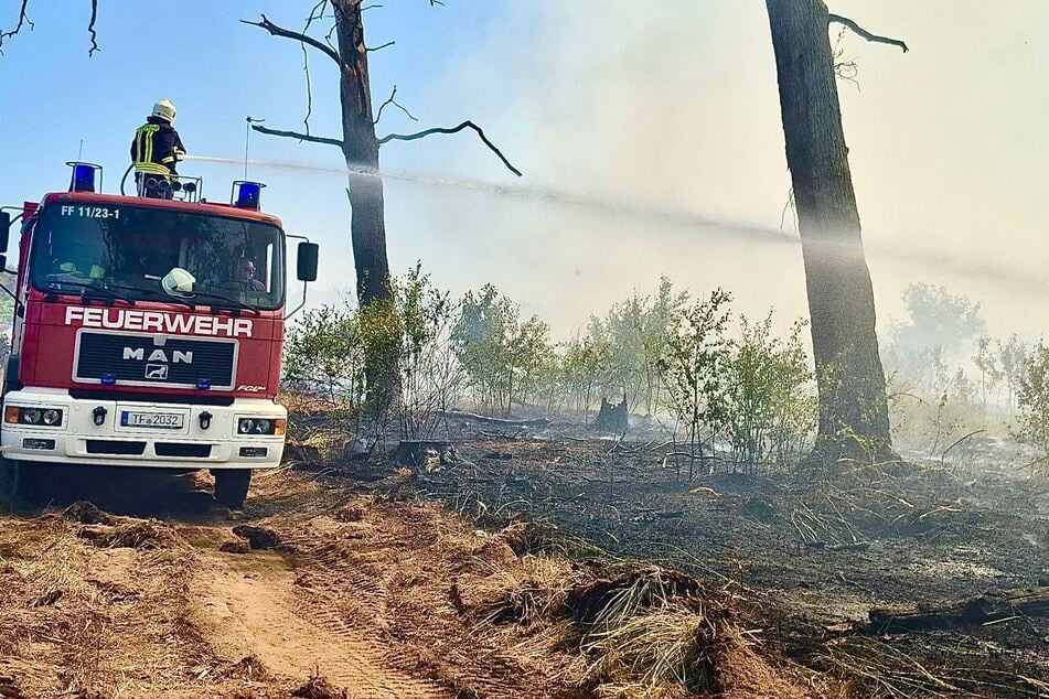 Auch bei Treuenbietzen (Potsdam Mittelmark) kämpften die Einsatzkräfte gegen einen Großbrand.