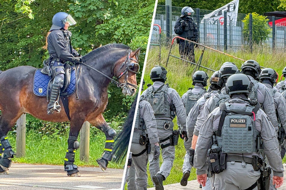 Ausschreitungen und Festnahmen bei Amateur-Kick: Polizistin und mehrere Fans verletzt