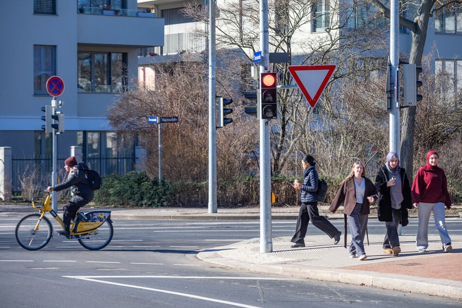 Hier könnten Fußgänger die Hainstraße so einfach queren - wäre da nicht dieser Baum.