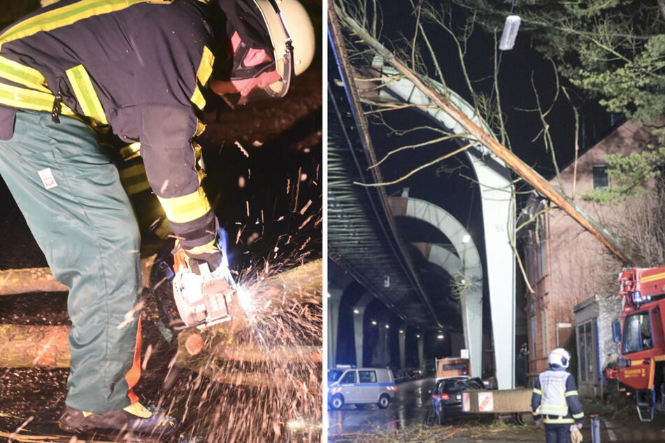 Zugausfälle, umgestürzte Bäume, Strom weg: Sturmtief fegt über NRW