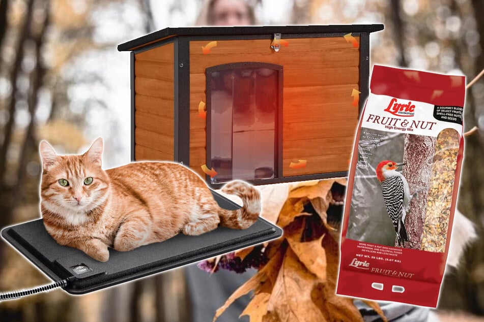 These five affordable pet items can help furry friends outside during cold season