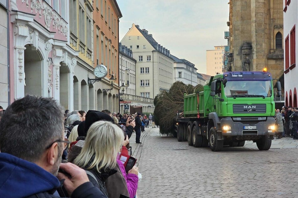 Spektakel in Chemnitz: Der diesjährige Weihnachtsbaum rollte am heutigen Samstagnachmittag an.