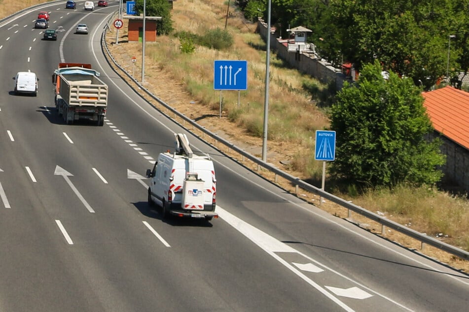 Das Schaf blockierte am Freitagmorgen die Straßen der A1 in Köln-Niehl und sorgte für Stillstand auf allen Spuren. (Symbolbild)