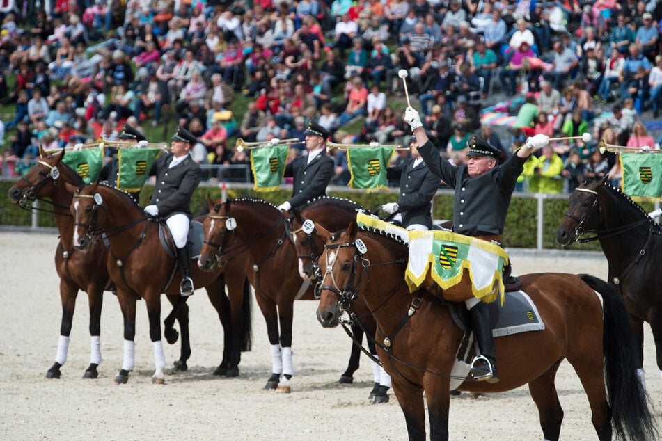 Mehr als 130 Pferde sind bei der letzten Moritzburger Hengstparade des Jahres in sportlichen und historischen Schaubildern zu erleben.