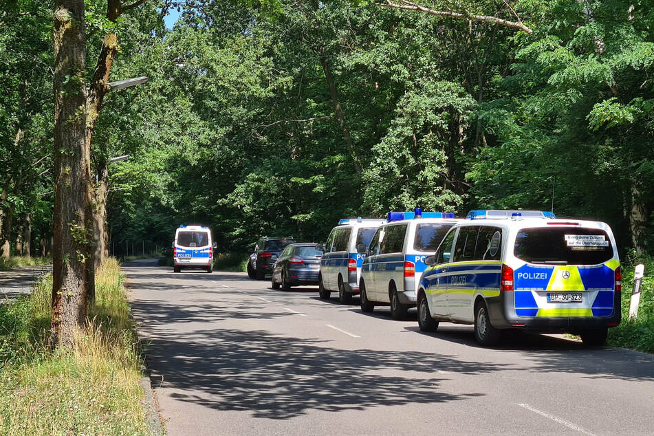 Polizeiautos stehen im Juli 2020 in einem Waldstück zwischen Babelsberg und Dreilinden.