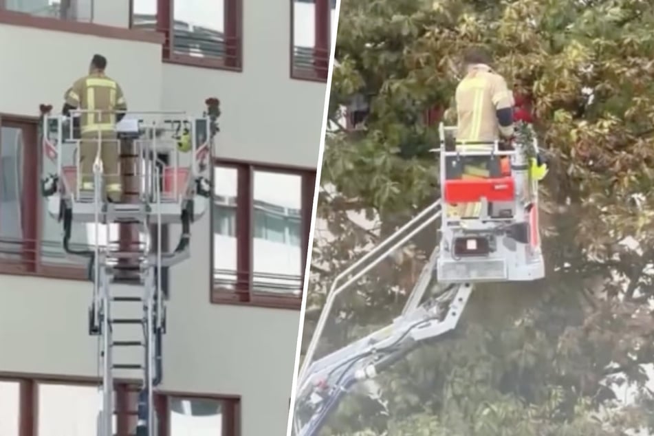 Berlin: Diesen Einsatz wird sie wohl nie vergessen! Feuerwehrmann im Auftrag der Liebe unterwegs