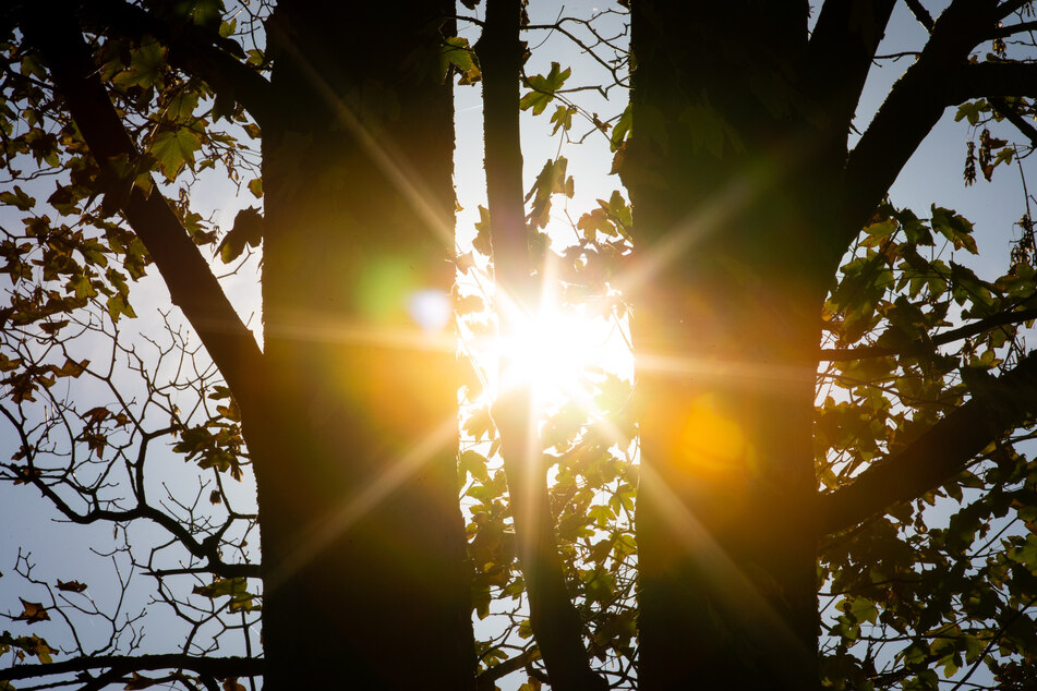 In dieser Woche dreht die Sonne in NRW nochmal auf. (Symbolbild)
