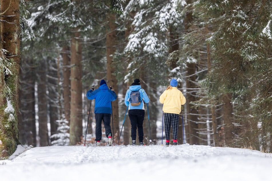 Schneefälle haben die Höhenlagen Thüringens mit winterlichem Weiß bedeckt.