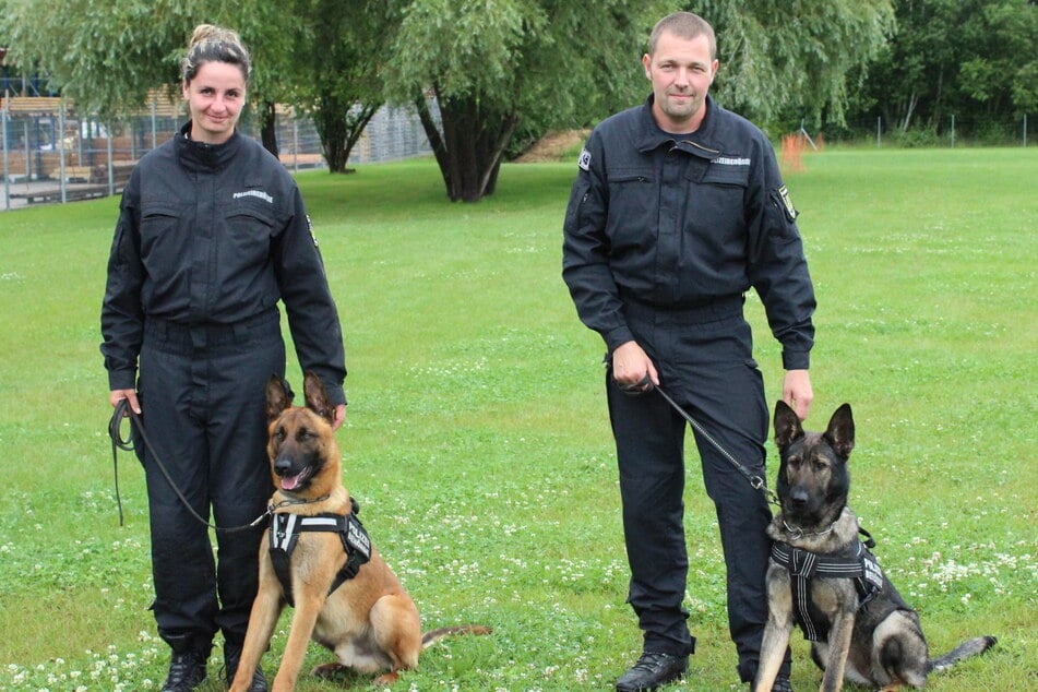 Fido (19 Monate, Malinois, l.) und Nina (19 Monate, Deutscher Schäferhund) sind die neuen Diensthunde im Ordnungsamt.