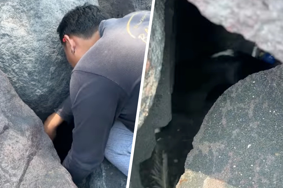 Tierschützer entdeckten einen verängstigten Welpen zwischen schweren Felsbrocken.
