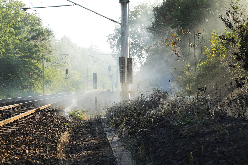 Dresden: Güterzug verursacht Flächenbrand: Bahn setzt Klima-Task-Force ein