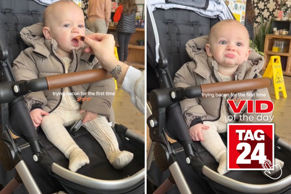 viral videos: Viral Video of the Day for November 18, 2023: Baby tries bacon for the first time!