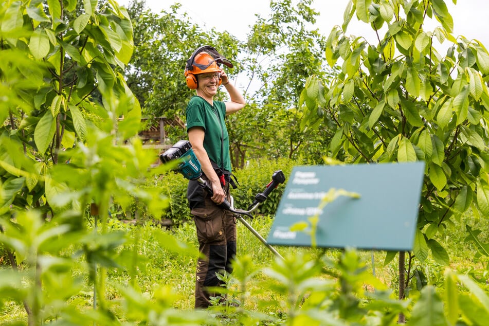 Ivonne (48) macht ihren Bundesfreiwilligendienst in der "Alten Gärtnerei" und ist froh, so viel mitwirken zu dürfen.