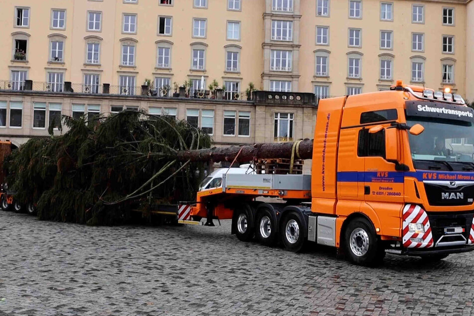 Der Altmarkt bekommt trotz Lockdown im November weihnachtliches Flair durch die Fichte.