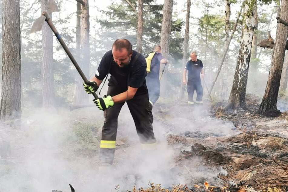 Neben den Trockenrohren für die Feuerwehr sollen vom Wanderparkplatz an der Neumannmühle bis zum Alten Zeughaus auch Glasfaserkabel gelegt werden.