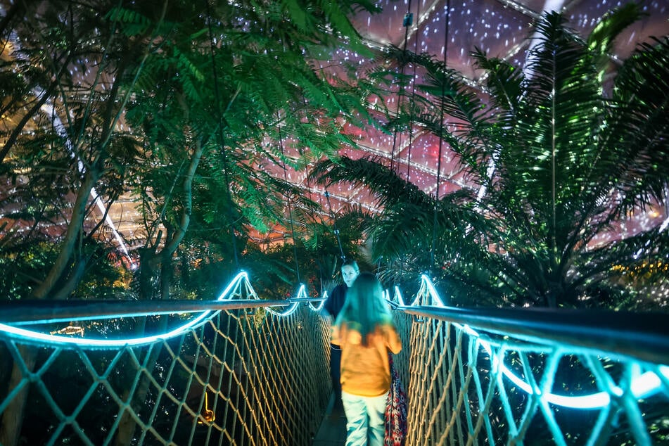 Es ist wieder so weit und der Leipziger Zoo samt Gondwanaland beginnt zu erstrahlen. (Archivbild)