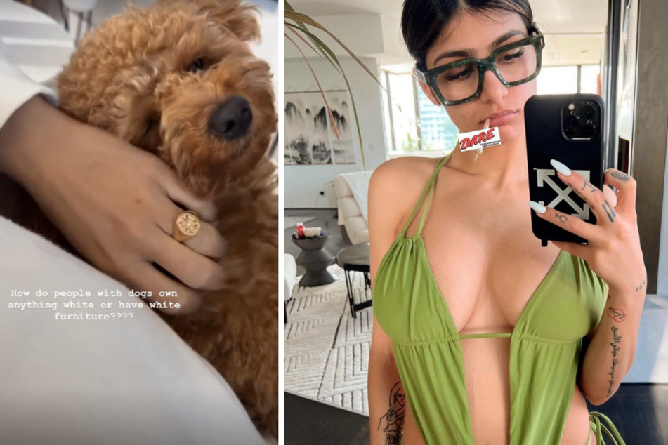 Mia Khalifa sauer: Hund ruiniert teure Klamotten von früherem Pornosternchen
