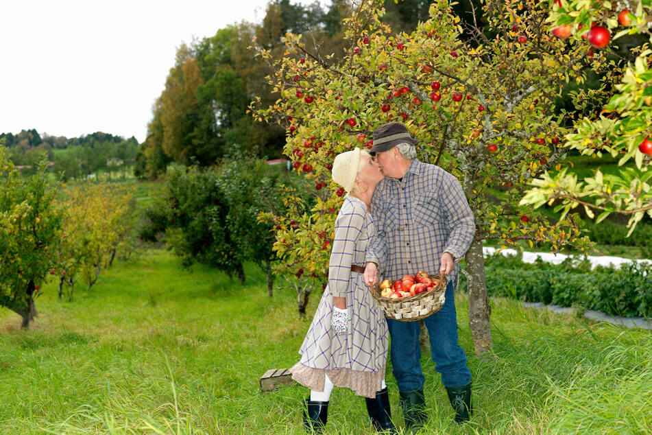 Apple picking is a sweet date idea for any couples who love crisp apples and romantic scenery.