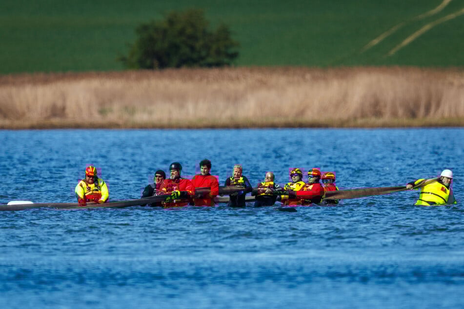 Helfer versuchen mit Gurten den gestrandeten Buckelwal vor der Insel Poel zu einem Transportschiff zu ziehen.
