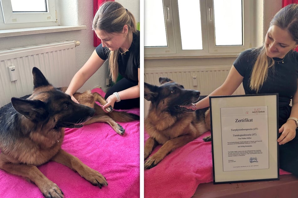 Nadine Müller (26) hat erfolgreich ihre Ausbildung als Tierphysiotherapeutin und Tierakupunkteurin abgeschlossen und vor zwei Monaten ihre eigene Praxis eröffnet.