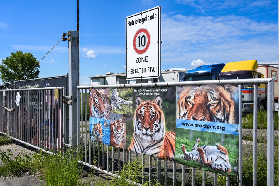 Der 72-jährige Helfer starb infolge des Tigerangriffs am 17. Mai.
