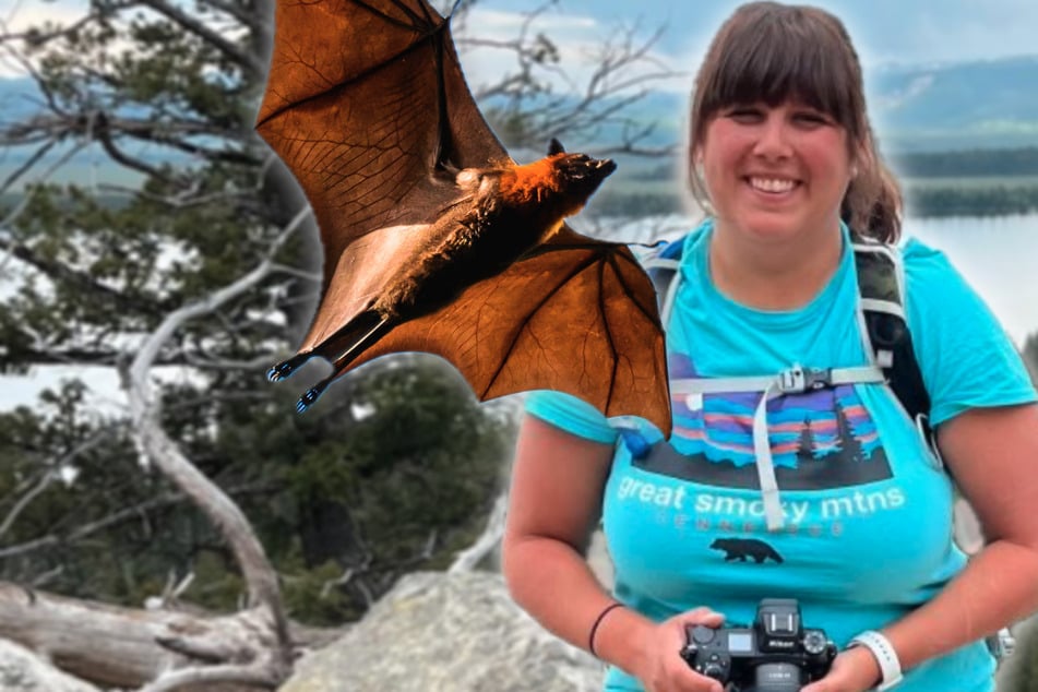 Fledermaus fliegt Wanderin in den Mund: Behörden schlagen Alarm