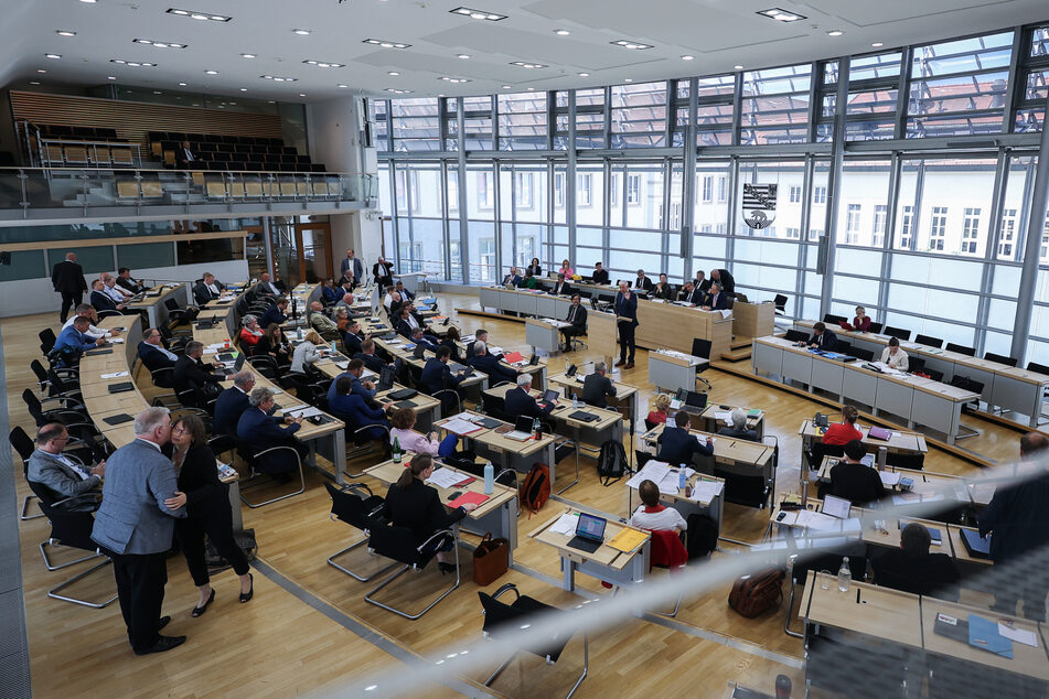 Im Landtag Sachsen-Anhalts hatten sich mehrere Abgeordnete für eine Reform ausgesprochen.
