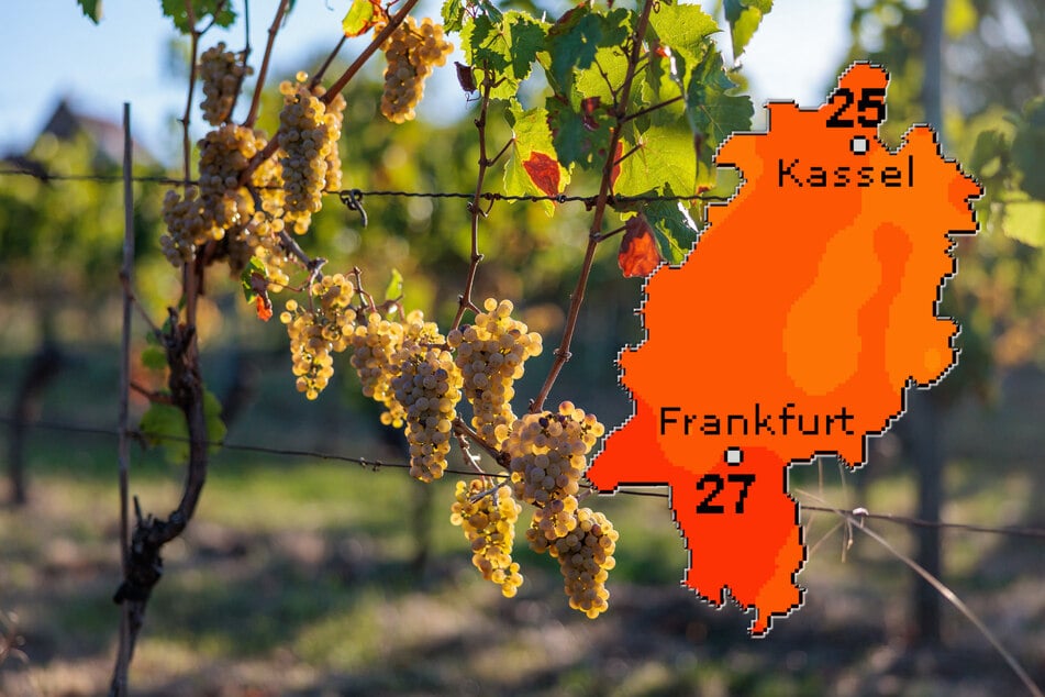 Laut "Wetteronline.de" (Grafik) ist am Dienstag mit Temperaturen bis zu 27 Grad zu rechnen. Der Deutsche Wetterdienst prognostiziert sogar bis zu 28 Grad.