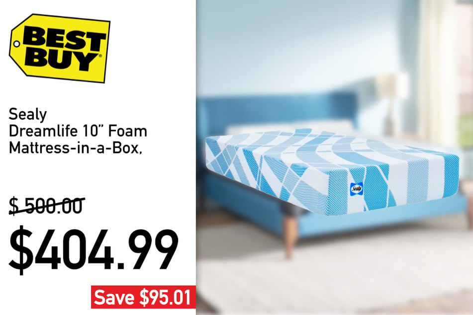 The Sealy Dreamlife 10" Foam Mattress-in-a-Box.