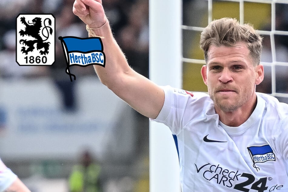 Von Alter Dame zu Münchner Löwen: Niederlechner hat beim TSV 1860 unterschrieben