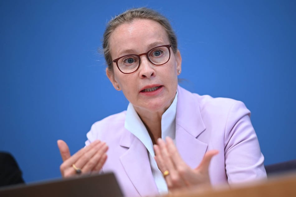 Unter anderem aufgrund von Plagiatsvorwürfen ist die Wahl von Frauke Brosius-Gersdorf (54) ans Bundesverfassungsgericht abgelehnt worden.