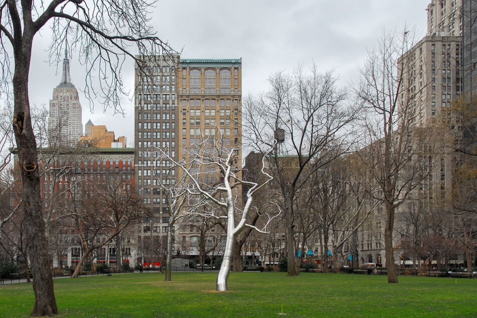 Im Madison Square Park, mitten in Manhattan, wurde die Taube ausgesetzt.