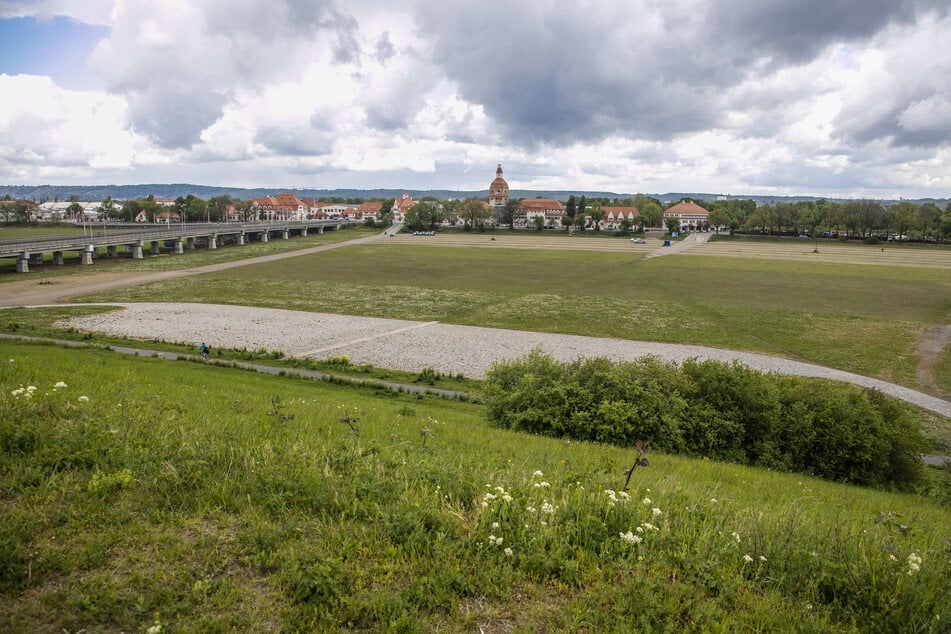 Der Raub ereignete sich im Dresdner Ostragehege. (Archivbild)